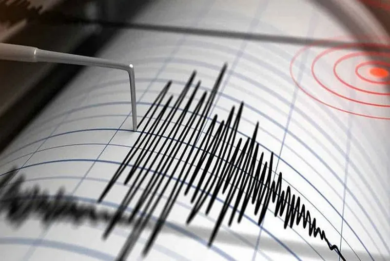 Terremoto de 4,8 sacudió Tokio, Japón sin alerta de tsunami