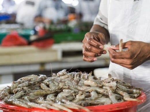 Asociación de camaroneros del Zulia propone exonerar el IVA a esta proteína para venderla a precios más accesibles