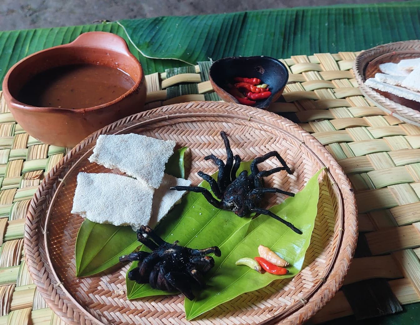 La araña mona, exquisitez del Amazonas, que debe cocinarse con mucho cuidado, 