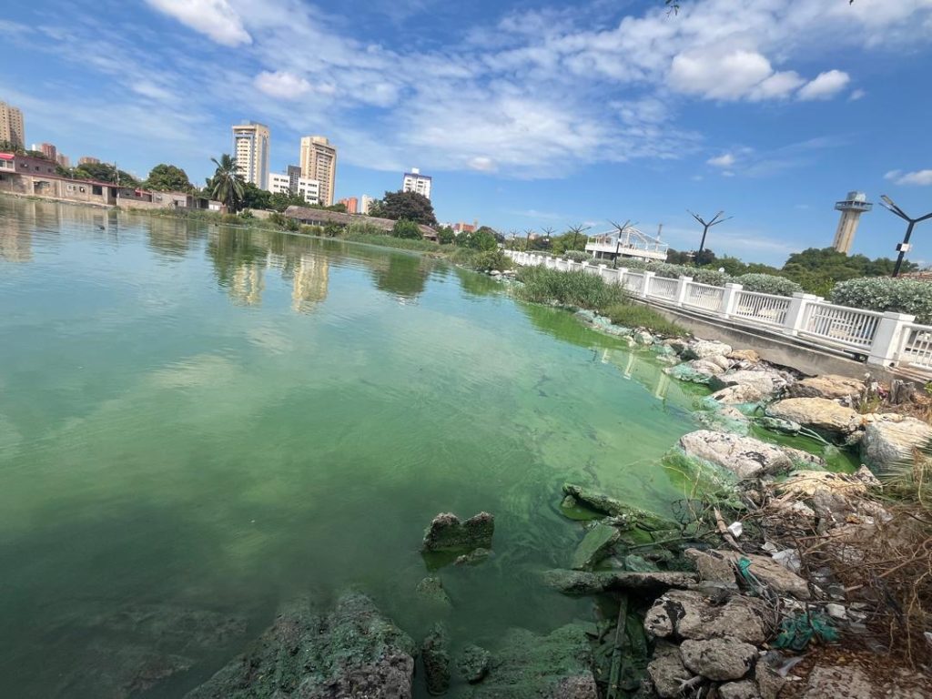 Cuenca del Lago de Maracaibo es la más afectada por el calentamiento en Sudamérica: Revela informe de la Revista Nature