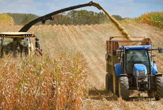 Plan productivo 2025 incrementará la producción agrícola