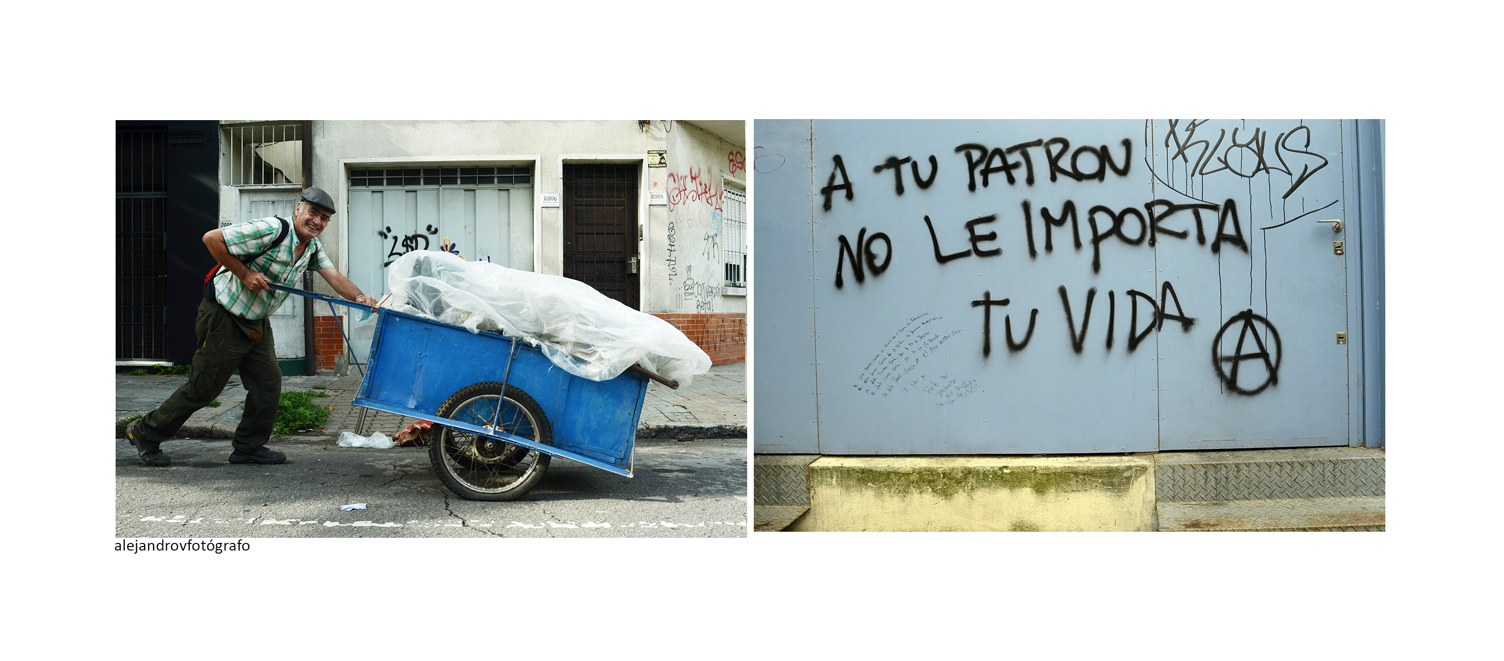 El ojo congelado de un pájaro (por Alejandro Vásquez Escalona)