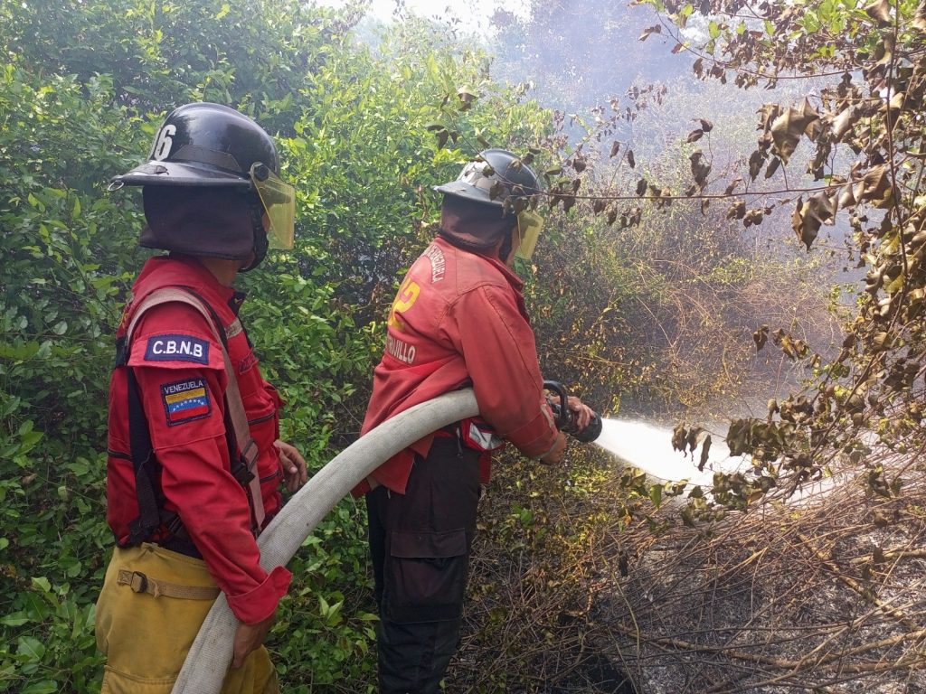 Más de 20 incendios de vegetación se han registrado esta semana en varios estados del país