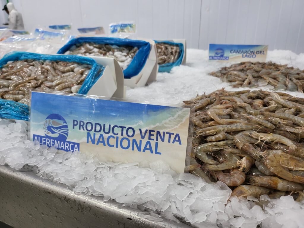 Industriales trabajan para liberar arancel del 19 % en China sobre el camarón venezolano: Presidente de SVAcuicultura