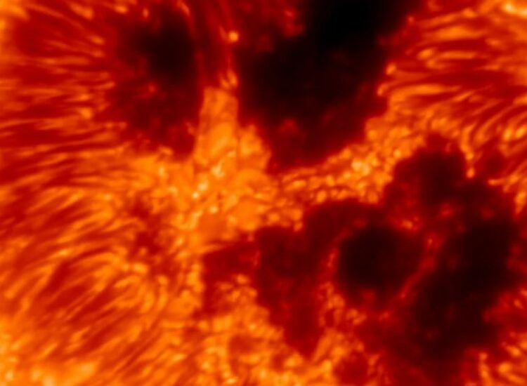 Esta es la primera imagen ultradetallada del Sol que obtuvo el telescopio solar más grande del mundo