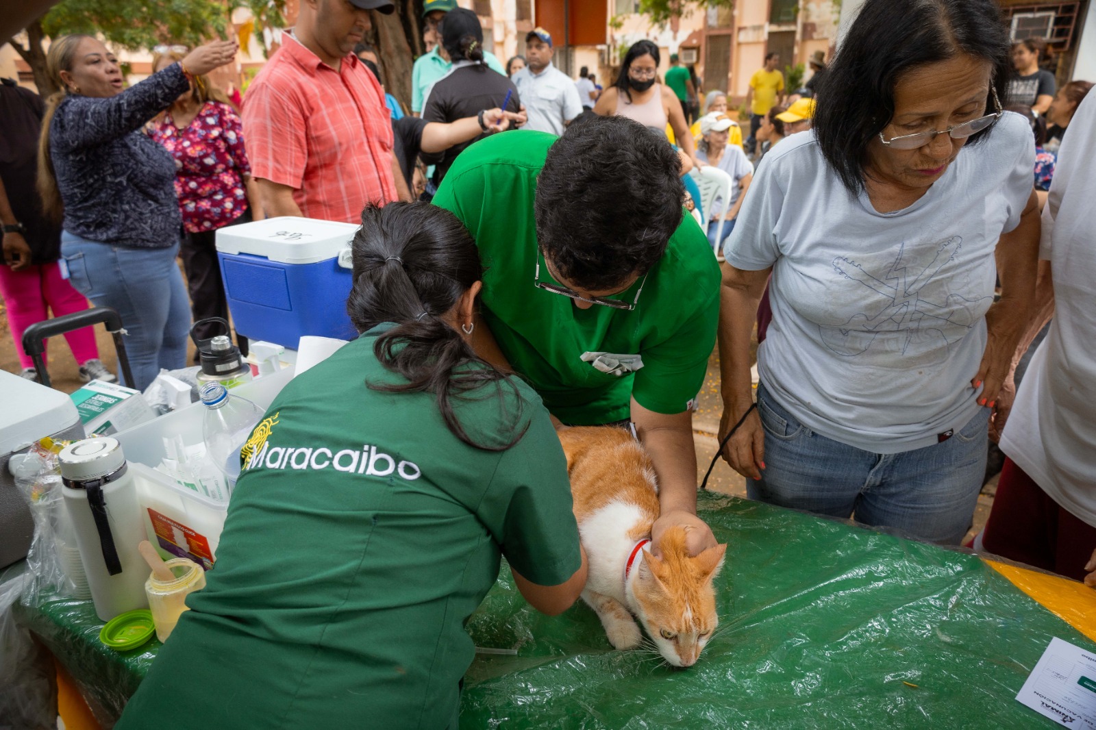 Alcaldía de Maracaibo brinda atención veterinaria gratuita en Francisco Eugenio Bustamante