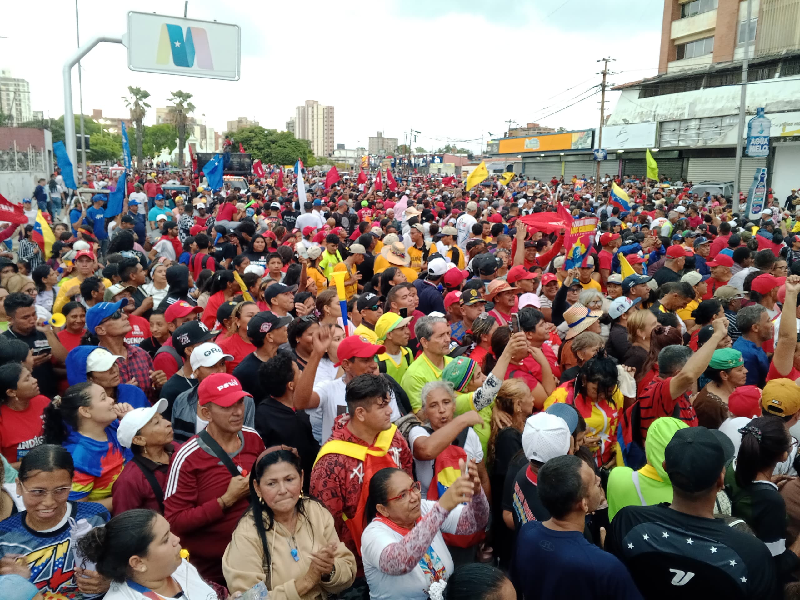 Multitudinaria marcha 