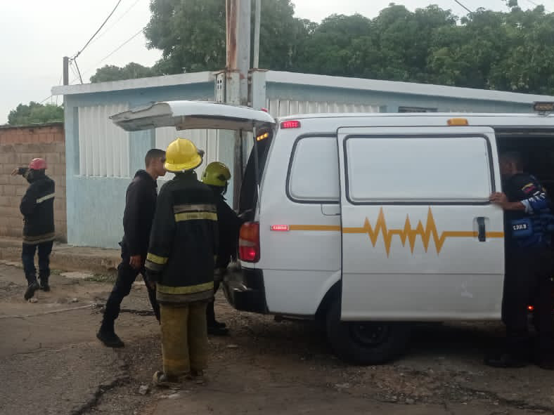 Cuerpo de Bomberos de San Francisco atiende casi a diario denuncias de enjambres de abejas africanas