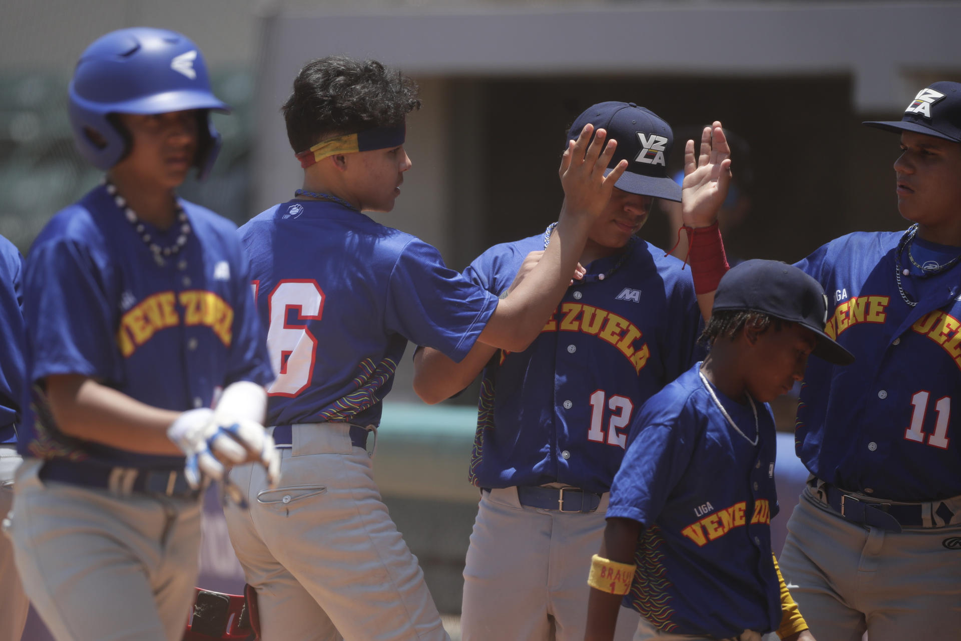 Venezuela será sede de la Serie del Caribe Kids