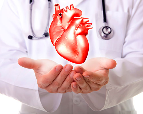 Congreso Nacional de Cardiología abordará temas claves para la prevención de enfermedades