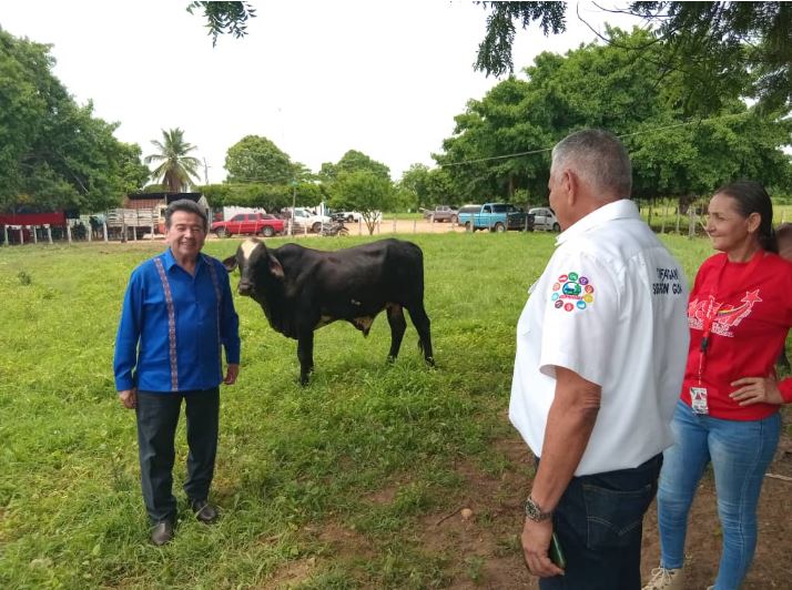 Gobernador Luis Caldera entrega vacunas contra fiebre aftosa en Jesús Enrique Lossada