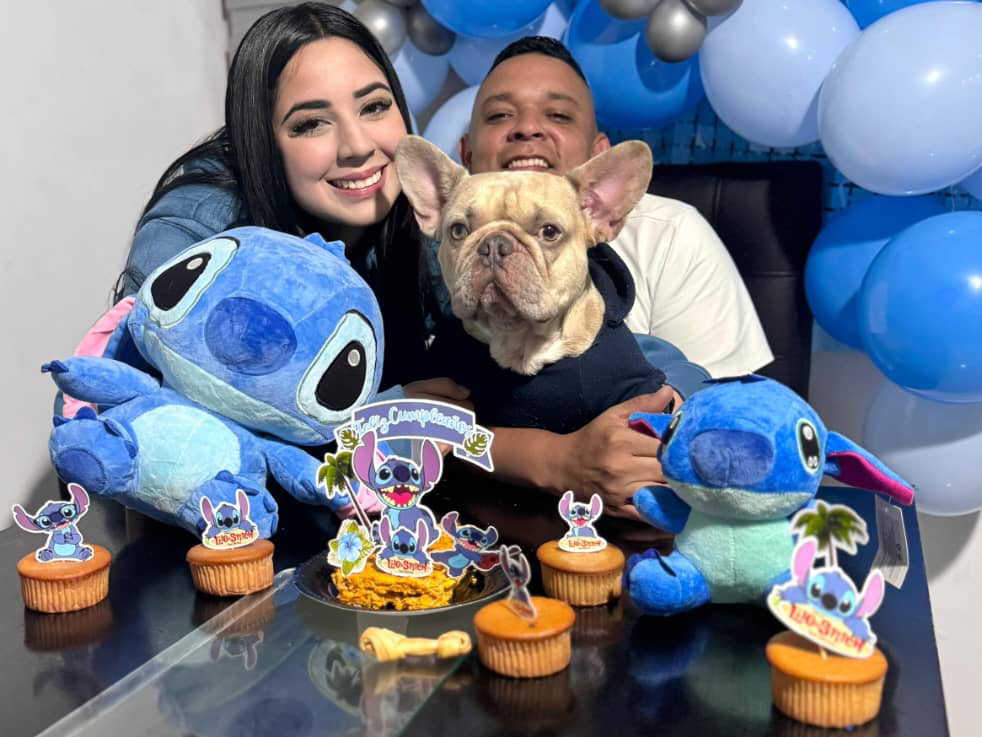 Buscan a Max, un bulldog francés extraviado en la zona de Los Modines