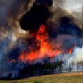 Calor extremo e incendios azotan los Balcanes