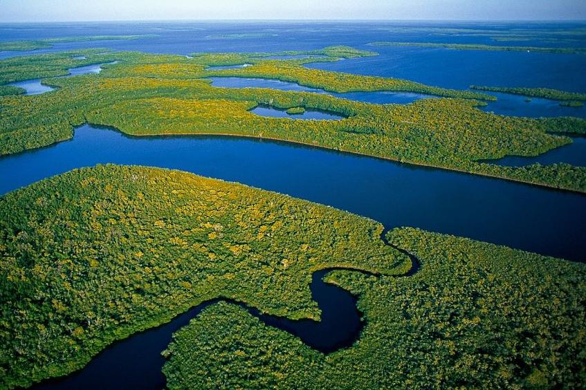 Venezuela convoca Congreso Mundial en Defensa de la Madre Tierra para diciembre de 2025