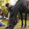 Este 11 de julio se celebra el Día Mundial del Caballo