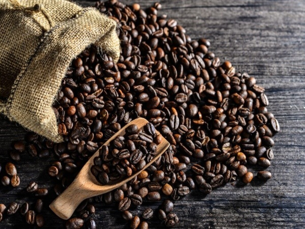 Venezuela exportó 86 mil quintales de café en el primer semestre de 2025: Un crecimiento del 500 % respecto al mismo período de 2024