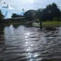 Cinco mil hectáreas de caña de azúcar bajo las aguas en Portuguesa: Federación Nacional de Cañicultores asegura que no afectará el suministro nacional