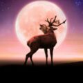 Hasta este 11 de julio se verá la brillante Luna llena del Ciervo