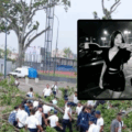 Murió estudiante de la Unerg tras caerle un árbol encima en Maturín