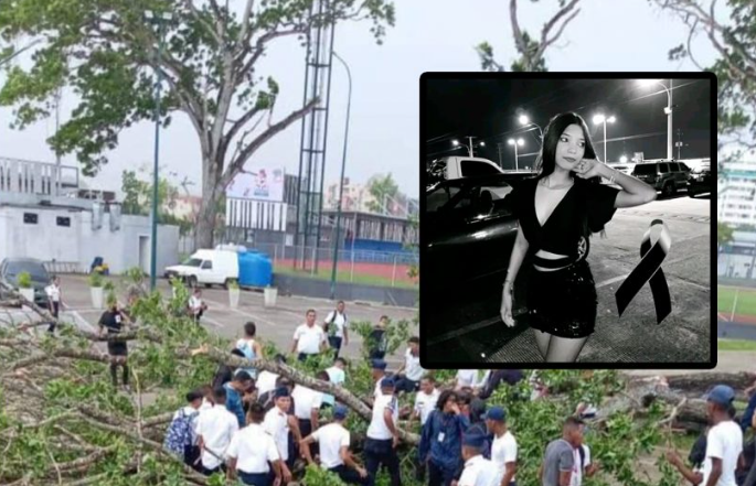 Murió estudiante de la Unerg tras caerle un árbol encima en Maturín