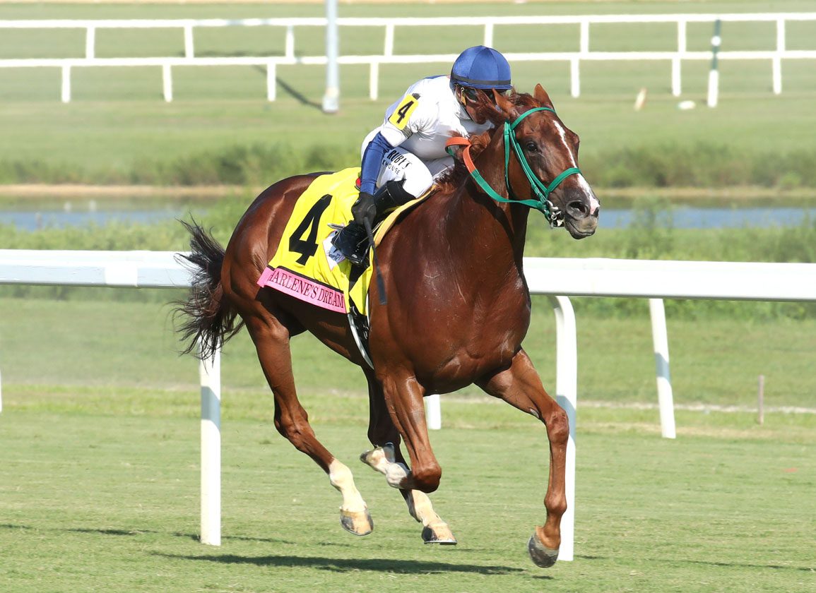 Javier Castellano se quedó con el triunfo en Saratoga durante la jornada del jueves