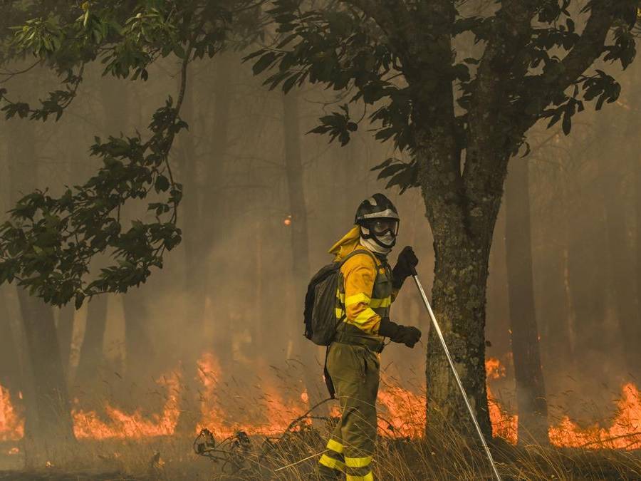 La población mundial expuesta a los incendios aumentó un 40% en lo que va de siglo