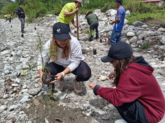Plan de reforestación: Más de 4 mil 200 árboles sembrados en Mérida tras fuertes lluvias