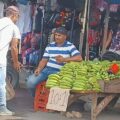 La abundancia inesperada: Plátano y queso se reencuentran en la tradicional mesa zuliana