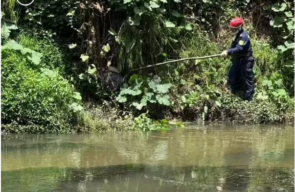 Esta sería la principal hipótesis en el caso de Valeria Afanador tras encontrar su cuerpo en río Frío, Cajicá: abogado reveló nuevos detalles