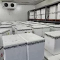 Venezuela recibió 226 mil dosis de vacunas contra la fiebre amarilla de Rusia