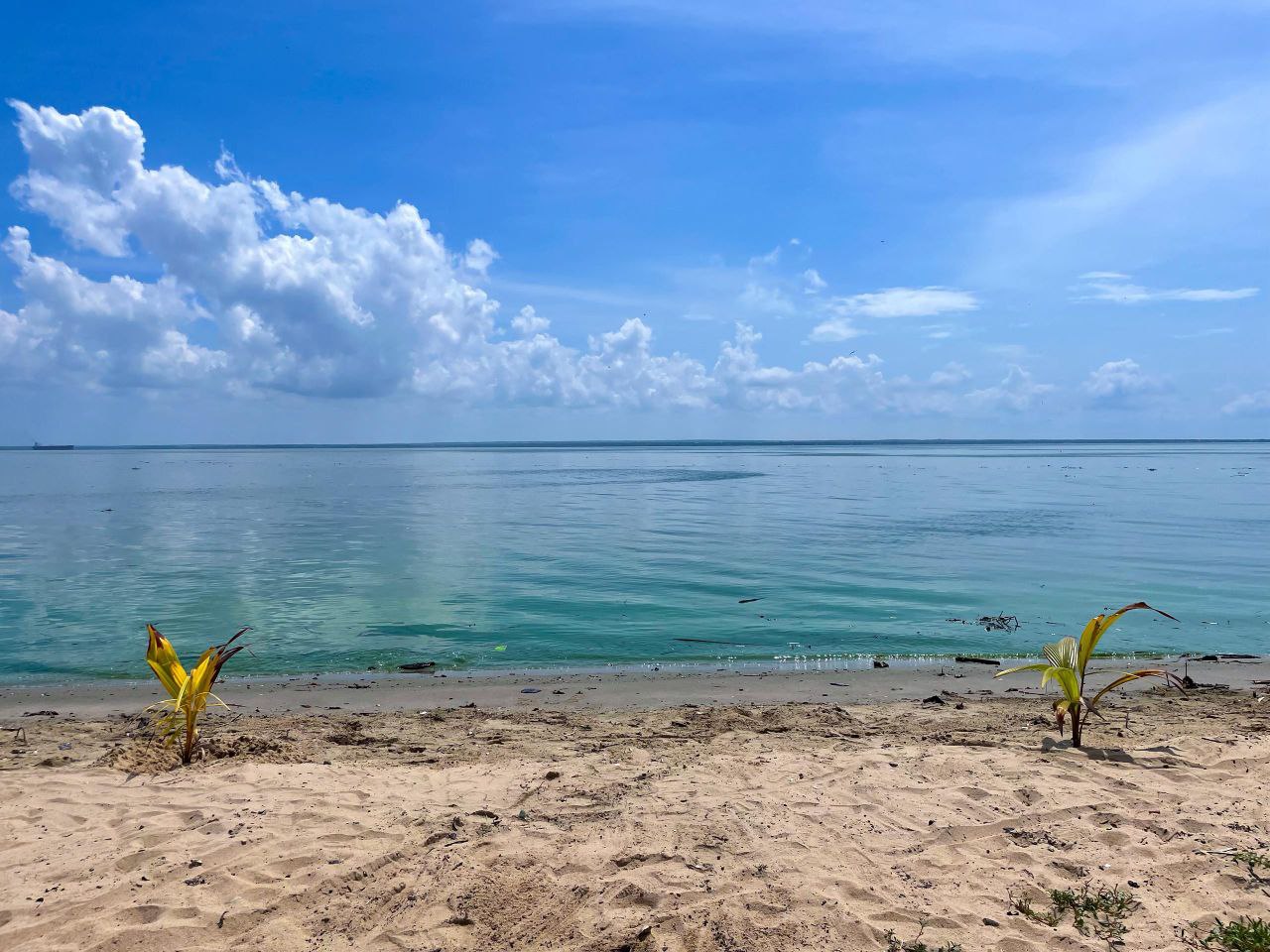 Buenos días, Lago ¿Cómo estás?
