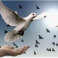Este 21 de septiembre, se conmemora el Día Internacional de la Paz: compromiso que cruza fronteras bajo el lema “Actúa ahora por un mundo pacífico”