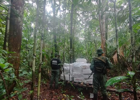 Autoridades de la FANB localizan 36 panelas de cocaína en campamento de las Farc en el Sur del Lago