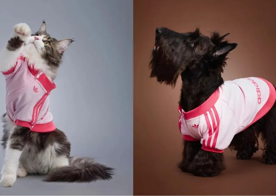 La colección más adorable: Adidas viste a perros y gatos