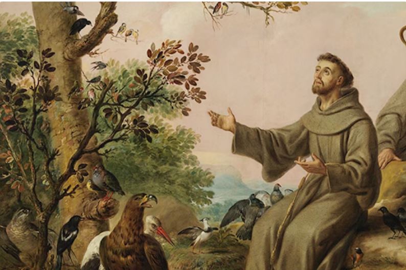 Cada 4 de octubre es el Día de San Francisco de Asís: Patrono de los animales, los veterinarios y los ecologistas