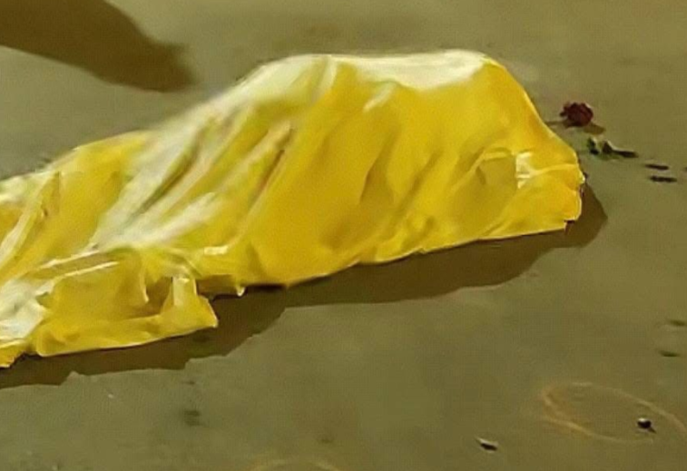Sicarios asesinaron a venezolana y dejaron una rosa junto a su cuerpo en Perú