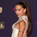 Detuvieron a padre de la cantante Greeicy Rendón por dos graves delitos