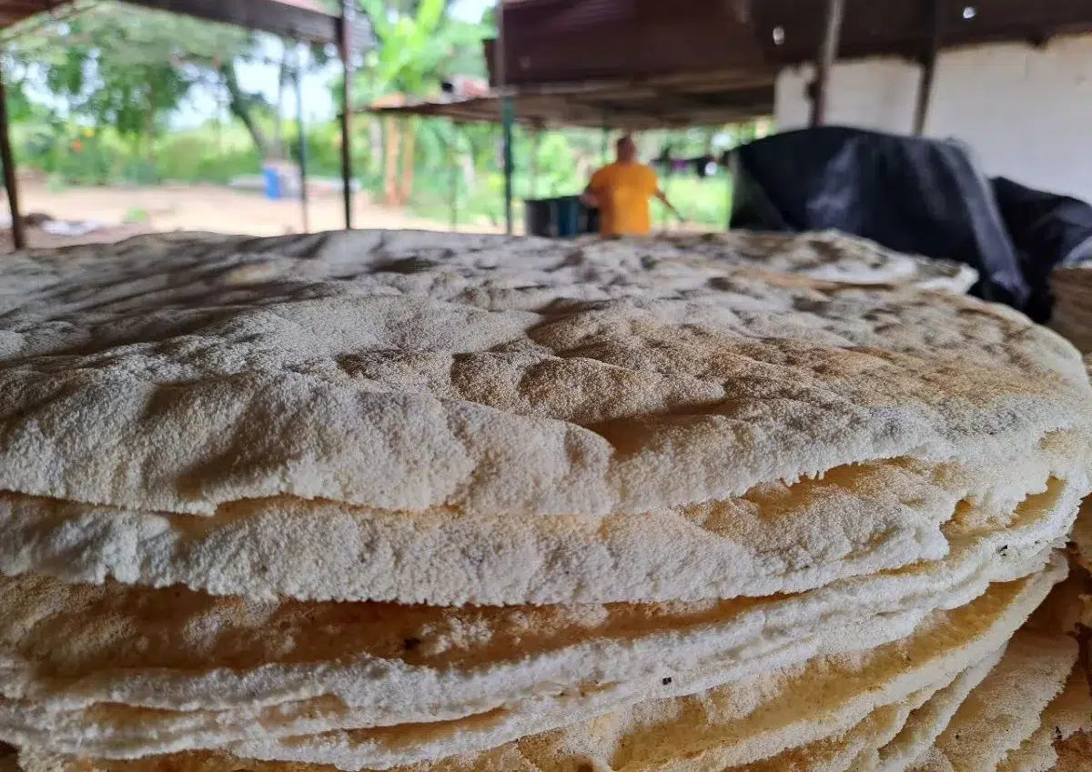 Venezuela, República Dominicana, Cuba, Haití y Honduras postulan el casabe en candidatura multinacional ante la Unesco