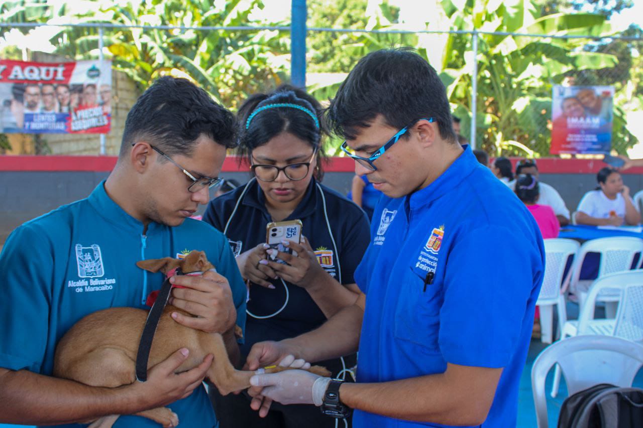 IMPA lleva atención veterinaria gratuita a las comunidades de Maracaibo