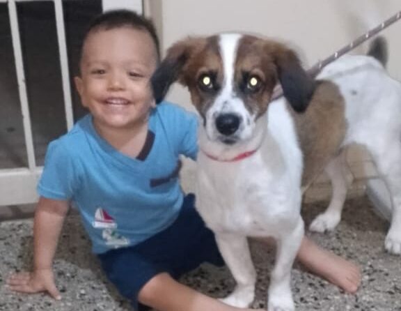 El perrito Doki ya se encuentra de regreso en casa