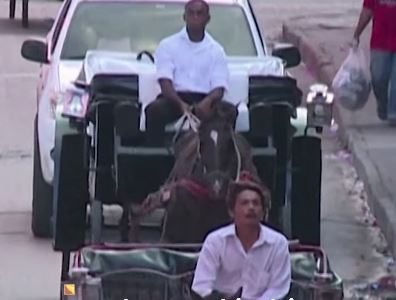 En Colombia prohíben el uso de caballos para las carrozas: Serán reemplazados por carros eléctricos