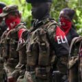 ELN liberó a dos colombianos cerca de la frontera con Venezuela