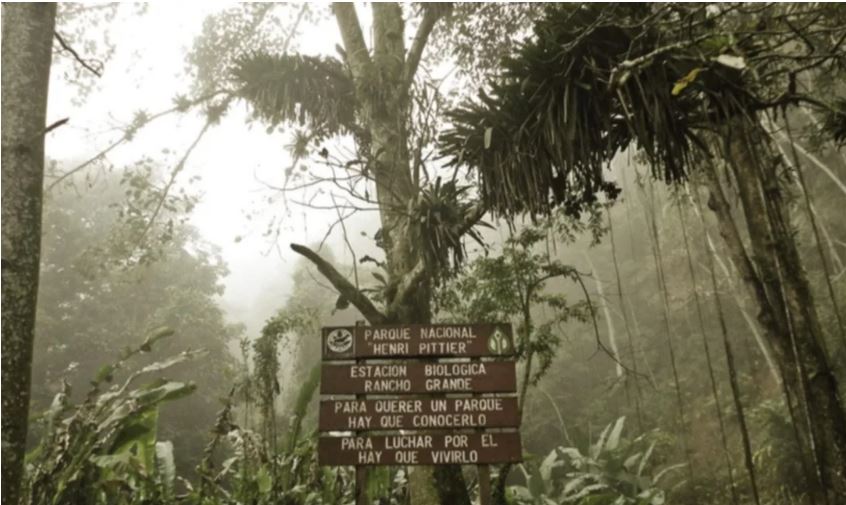 En el parque nacional Henri Pittier se registró un incendio, pero fue extinguido en su totalidad