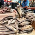 El pescado se posiciona como la alternativa más económica para los marabinos