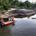 Tres adolescentes murieron ahogados en un río del estado Amazonas