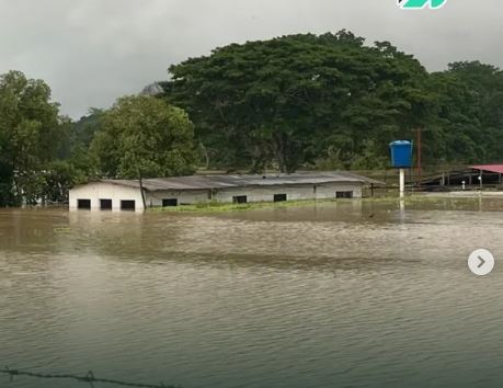 Alarma en el Sur del Lago por la crecida del río Zulia: Varios poblados están inundados