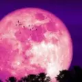 Junio un mes para mirar al cielo: Se disfrutará una danza de planetas brillantes, la llamada Luna de fresa y lluvias de meteoritos