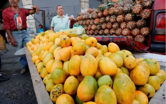 ¡Sabor y tradición! Así el estado Bolívar celebró la 27° edición de la Feria del Mango