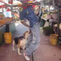 ¡Por bailar ‘Dai Dai’!: Perrito muerde a creador de contenido colombiano y el video se vuelve viral